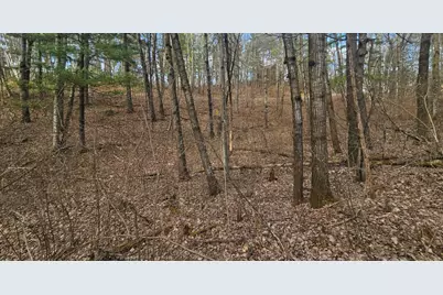 Tbd Red Oak Lane, Motley, MN 56466 - Photo 10