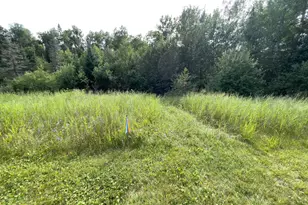 7143 Hwy 1, Finland, MN 55603 - Photo 40