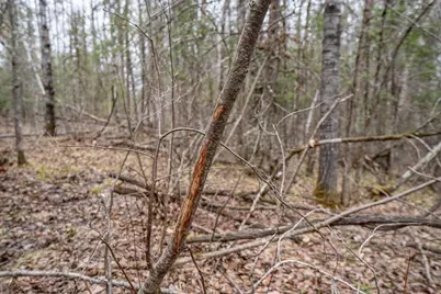 Tbd Hokkanen Rd, Iron River, WI 54847 - Photo 22