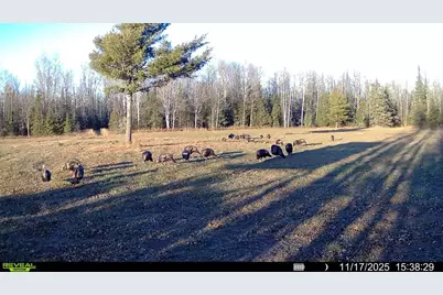Tbd Hokkanen Rd, Iron River, WI 54847 - Photo 60
