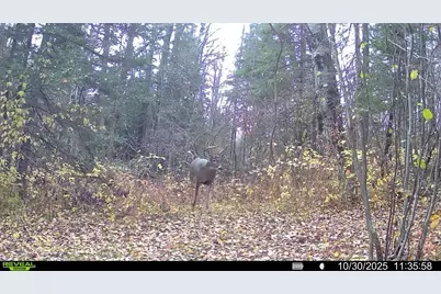 Tbd Hokkanen Rd, Iron River, WI 54847 - Photo 52