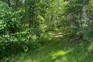 49382 Pansy Landing Rd, Sandstone, MN 55072 - Photo 6