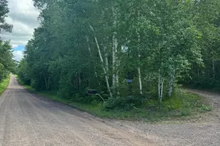 49382 Pansy Landing Rd, Sandstone, MN 55072 - Photo 36
