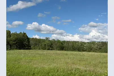 Tbd County 63, Boy River, MN 56672 - Photo 2