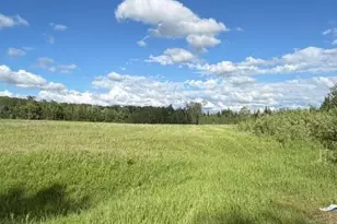 Tbd County 63, Boy River, MN 56672 - Photo 1