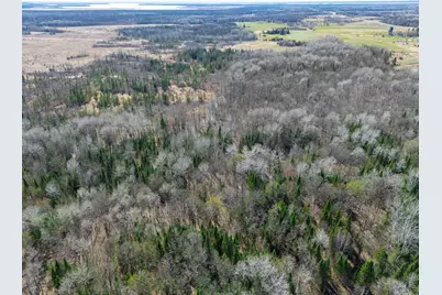 Tbd County 63, Boy River, MN 56672 - Photo 16