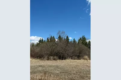 Tbd County 63, Boy River, MN 56672 - Photo 22