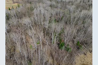 Tbd County 63, Boy River, MN 56672 - Photo 22
