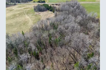 Tbd County 63, Boy River, MN 56672 - Photo 4