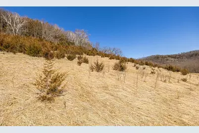 Tbd Semling Lane, Fountain City, WI 54629 - Photo 24