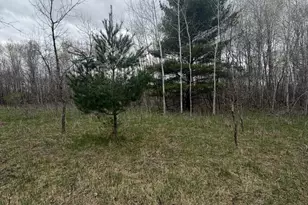 Tbd Ottawa, Browerville, MN 56438 - Photo 1