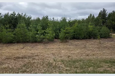 Tbd 450th St - Parcel A, Laporte, MN 56461 - Photo 4