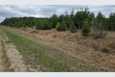 Tbd 450th St - Parcel A, Laporte, MN 56461 - Photo 2