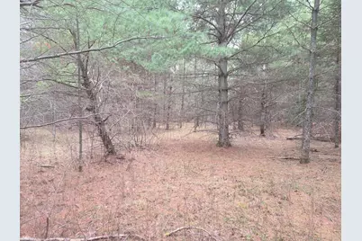 Tbd 450th St - Parcel C, Laporte, MN 56461 - Photo 2
