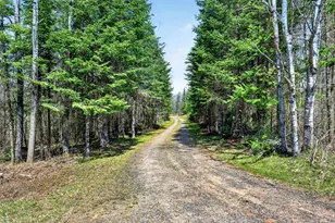 8225 N Blaisdell Lake Rd, Winter, WI 54896 - Photo 44