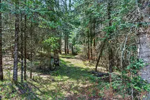 8225 N Blaisdell Lake Rd, Winter, WI 54896 - Photo 42