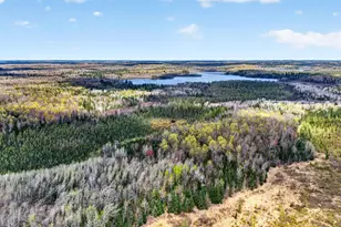 8225 N Blaisdell Lake Rd, Winter, WI 54896 - Photo 50
