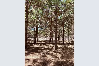 Tbd Scenic Hwy 7, Bovey, MN 55709 - Photo 16