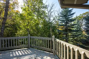 233 Basswood Trail, Glenwood, MN 56334 - Photo 56