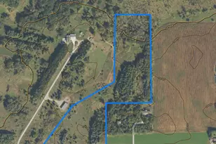 Xxx Tbd County Rd 115 +/- 17 63 Acres, Saint Augusta, MN 56301 - Photo 1
