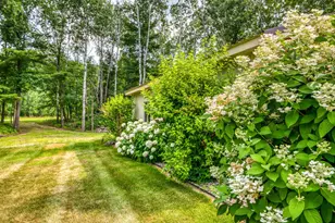 8376 Cedar Crest Loop NW, Walker, MN 56484 - Photo 84