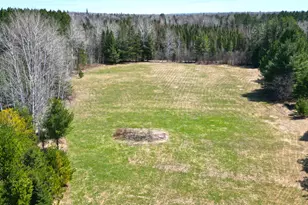 5535 Wahlsten Rd, Embarrass, MN 55790 - Photo 6