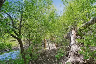 4015 Forestview Ln N, Plymouth, MN 55441 - Photo 46
