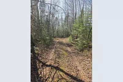 2217 Michaels Beach Road, Zim, MN 55738 - Photo 36