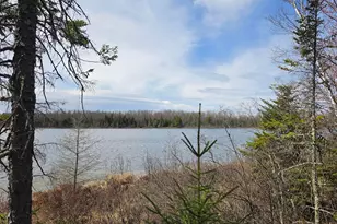 2217 Michaels Beach Rd, Zim, MN 55738 - Photo 36