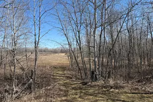 1784 County Road 1 SW, Baudette, MN 56623 - Photo 46
