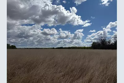20.5 Acres Land Section 24, Springfield, MN 56087 - Photo 18