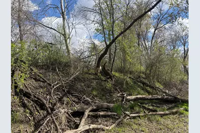 20.5 Acres Land Section 24, Springfield, MN 56087 - Photo 8