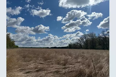 20.5 Acres Land Section 24, Springfield, MN 56087 - Photo 10