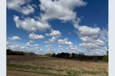 20.5 Acres Land Section 24, Springfield, MN 56087 - Photo 6