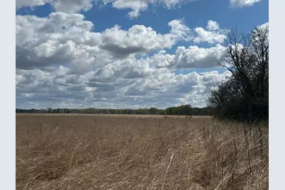 20.5 Acres Land Section 24, Springfield, MN 56087 - Photo 14