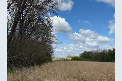 20.5 Acres Land Section 24, Springfield, MN 56087 - Photo 16