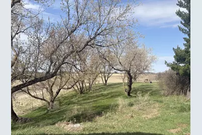 23889 County Hwy 1, Fergus Falls, MN 56537 - Photo 22