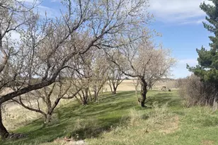 23889 Co Hwy 1, Fergus Falls, MN 56537 - Photo 26