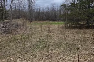 Tbd Lampi Rd, Cohasset, MN 55721 - Photo 1