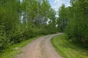 2291 Sisu Ln, Brimson, MN 55602 - Photo 4