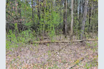 Vacant Lot 540th Street, Menomonie, WI 54751 - Photo 2