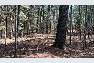 Tbd County 37, Laporte, MN 56461 - Photo 6