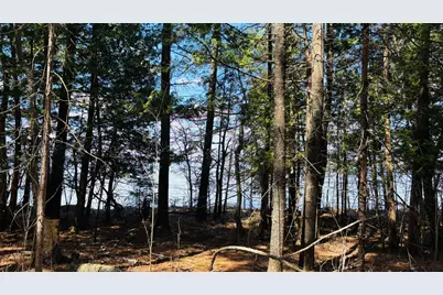 Tbd County 37, Laporte, MN 56461 - Photo 4