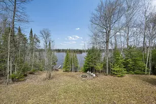 31149 Co Rd 40, Effie, MN 56639 - Photo 42