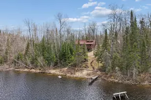 31149 Co Rd 40, Effie, MN 56639 - Photo 42