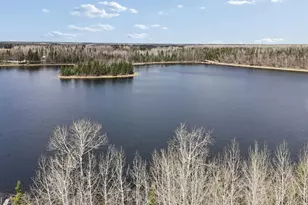 31149 Co Rd 40, Effie, MN 56639 - Photo 2