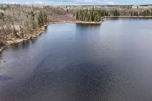 31149 Co Rd 40, Effie, MN 56639 - Photo 46