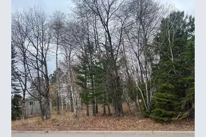 Tbd 3rd Avenue SW, Grand Rapids, MN 55744 - Photo 4