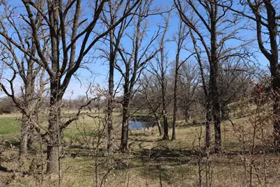27634 218th Street, Long Prairie, MN 56347 - Photo 4