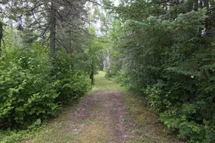 10507 Hwy 11, Baudette, MN 56623 - Photo 10